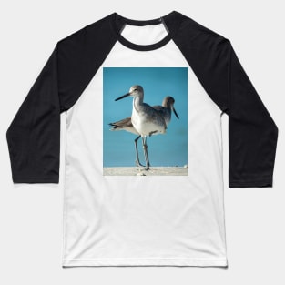 Florida Sandpiper Baseball T-Shirt